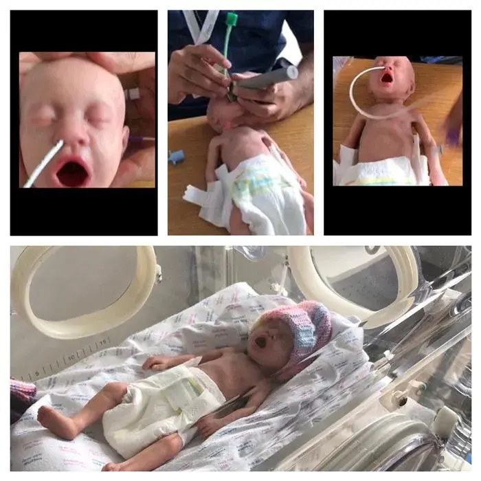 New Bodies and Functionality